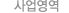 사업영역