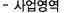 사업영역